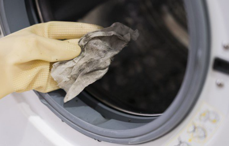 Lồng máy giặt chứa nhiều vi khuẩn, nấm mốc