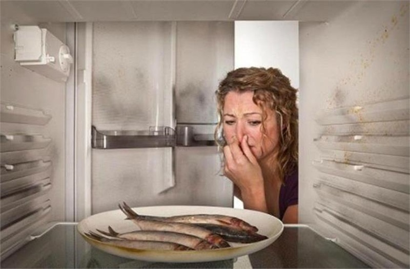 Lưu trữ thực phẩm trong tủ lạnh nhanh bị hỏng