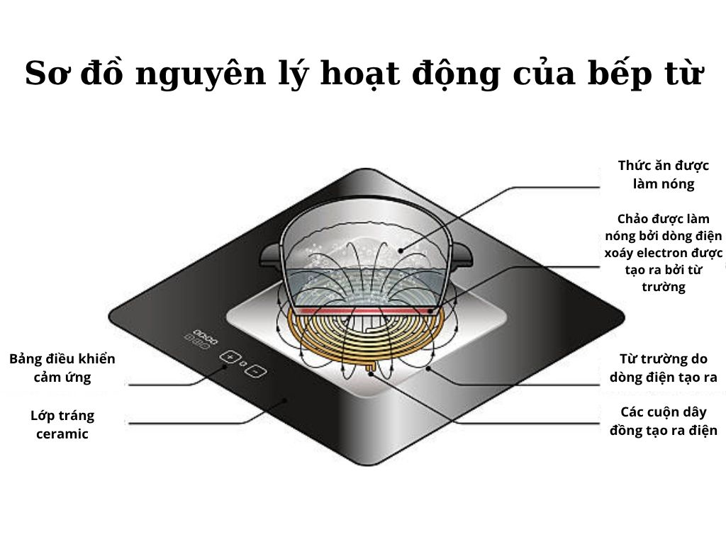 Nguyên lý hoạt động của bếp từ