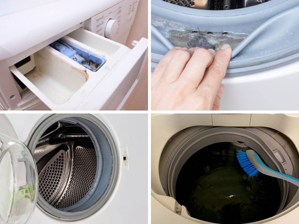 Nên vệ sinh và bảo dưỡng máy giặt định kỳ